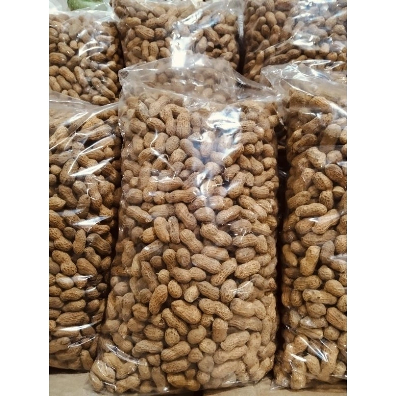 1kg kacang kulit sangrai khas madura || camilan kacang sangrai rasa gurih renyah