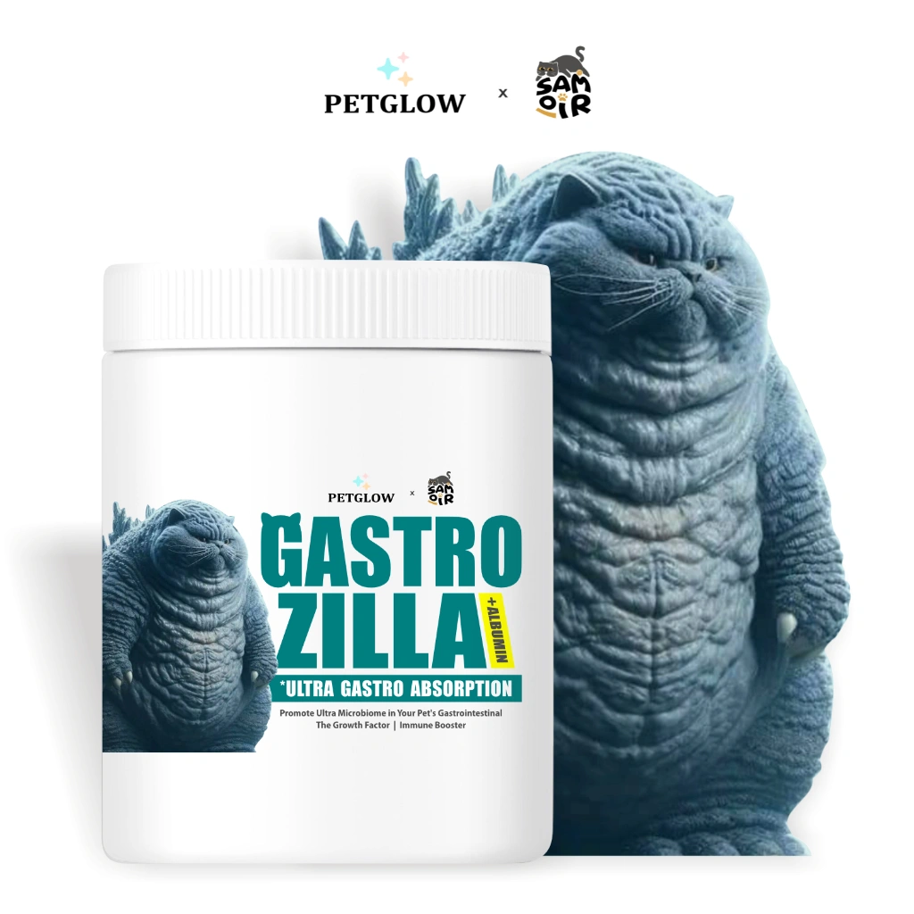 PROBIOTIK KUCING Gastro Zilla by Petglow x Samoir Cat Probiotic Serap Protein Vitamin Kucing Penambah Berat Badan Instant Pencernaan Usus Kucing Gastrozilla Penggemuk Kucing Peningkat Fungsi Obat Cacing Pereda Diare FLUTD RC Gastrointestinal Kucing Kitten