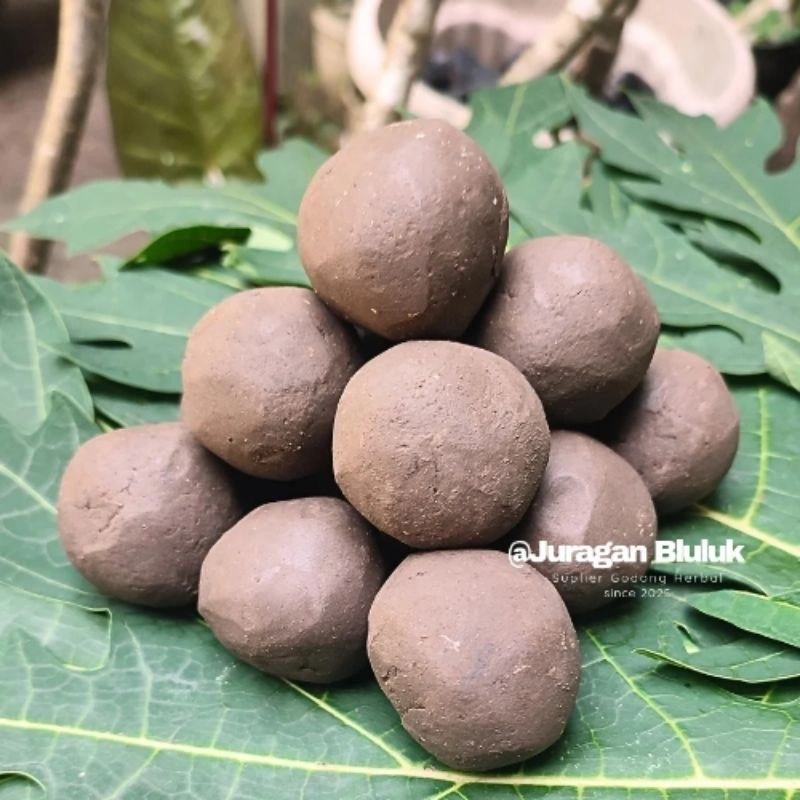 20 Bonus 2 Ampo Tanah Liat Penghilang Rasa Pahit Daun Pepaya Pare Lempung