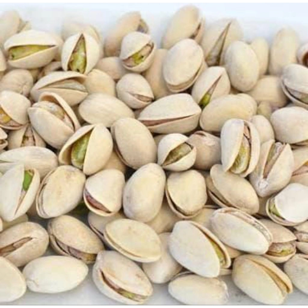 Kacang arab pistachio kacang fustuk 1kg oleh oleh haji umroh