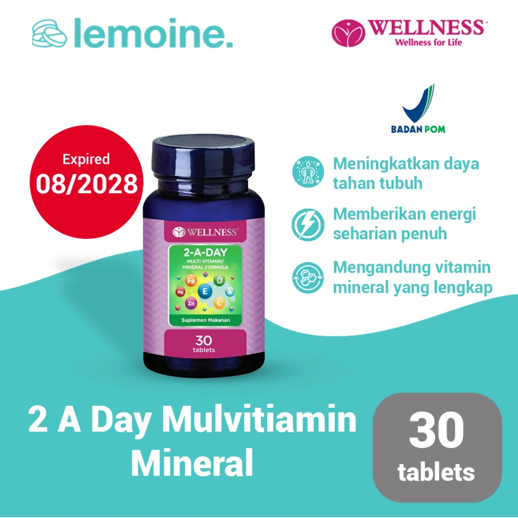 Wellness 2 A Day Multivitamin dan Mineral Formula Vitamin Lengkap A C E Zat Besi 30 tablet