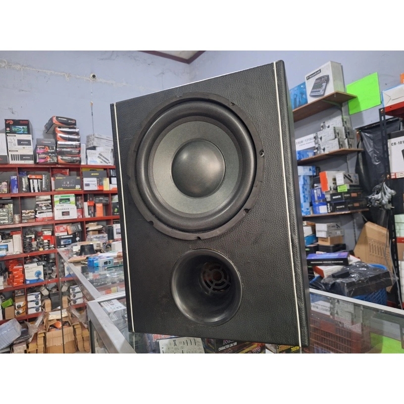 SUBWOOFER PASIF 10INCH SUPER BASS AUDIO MOBIL AUDIO SOUND MURAH