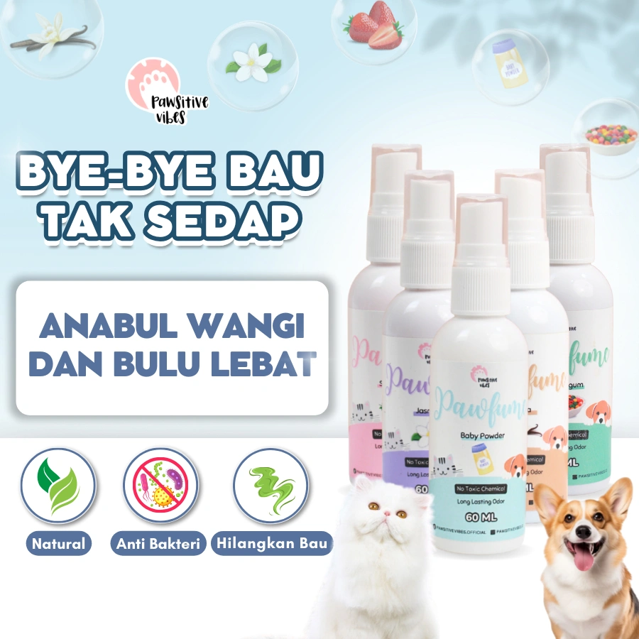 Pawsitive Vibes Parfume Hewan Kucing Anjing Hamster Kelinci Non Alkohol - Wangi Tahan Lama - No Toxic Chemical - Long Lasting Fragrance Spray - Pewangi Bulu Hewan