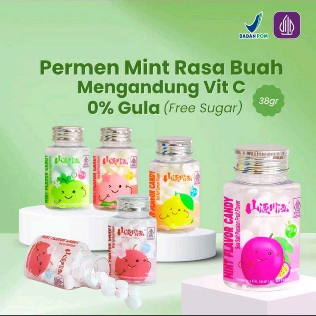 Permen Mint Bebas Gula Rasa Buah Mengandung Vit C dan Sea Salt 0% Free Sugar 38gr Bpom dan Halal