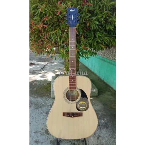 GITAR AKUSTIK/AKUSTIK ELEKTRIK CORTT AD810 TANAM BESI FREE PEKING KAYU