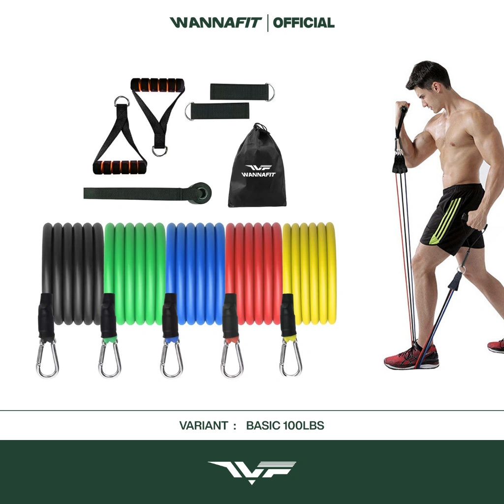 WANNAFIT 11 in 1 Pro Resistance Band Set | Alat Olahraga Rumah