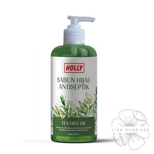 Holly Sabun Hijau Cair Antiseptic 550ml Pump, Sabun Mandi Antiseptik 550 mL | Shower Gel