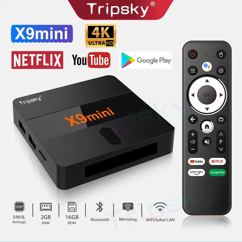 Android Tv Box Tripsky X9 ROM 16GB/2GB RAM Bluetooth Tv Box Android 9 Support Netflix 4K Smart Tv Box not MXQ