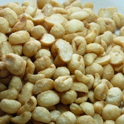500 gram kacang bogor jumbo/kacang bogor oven