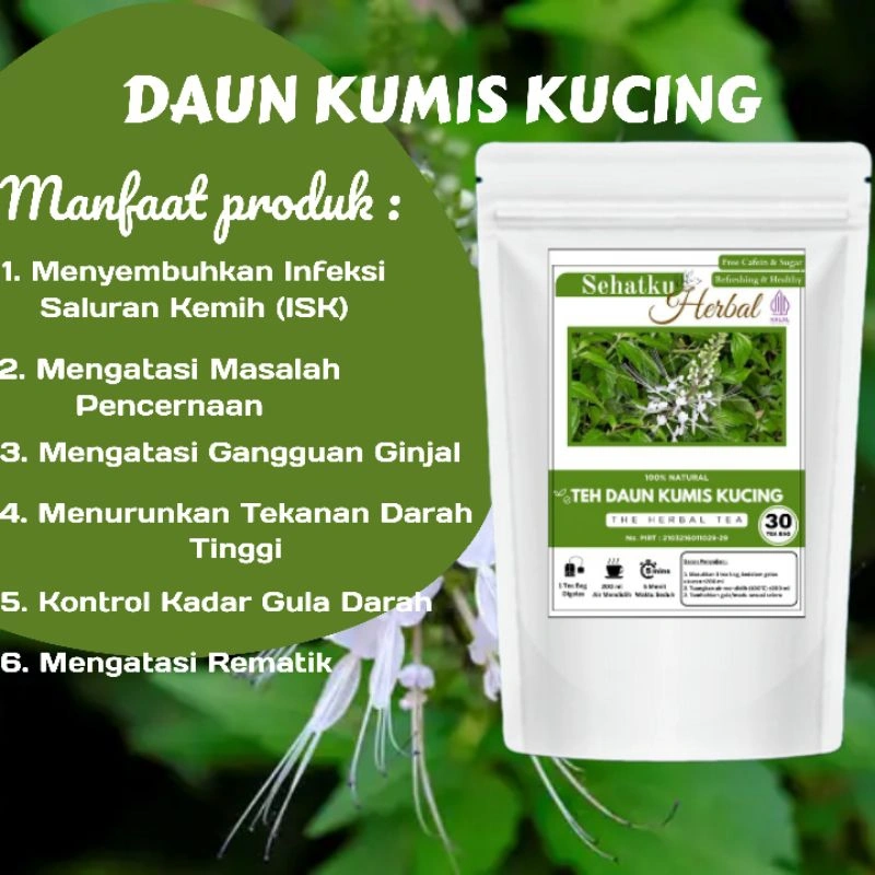 Teh Daun Kumis Kucing : Teh Batu Ginjal Isi 30 Tea bag
