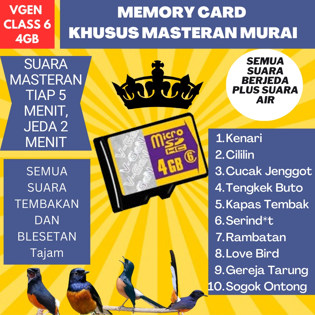 Memory card isian masteran burung murai batu - micro sd masteran murai kenari cililin