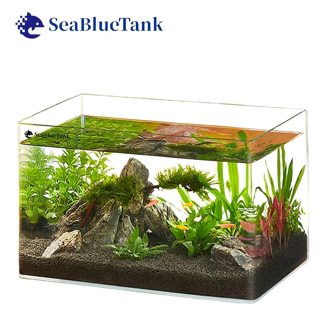 SeaBlueTank - Aquarium Ikan SXTB514 60cm/50cm