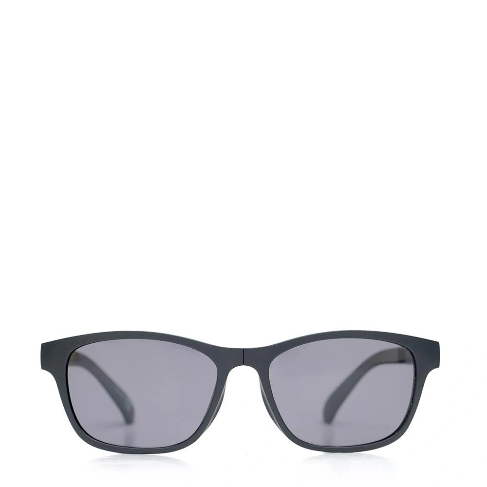 EIGER CRUISE WAYFARER SUNGLASSES