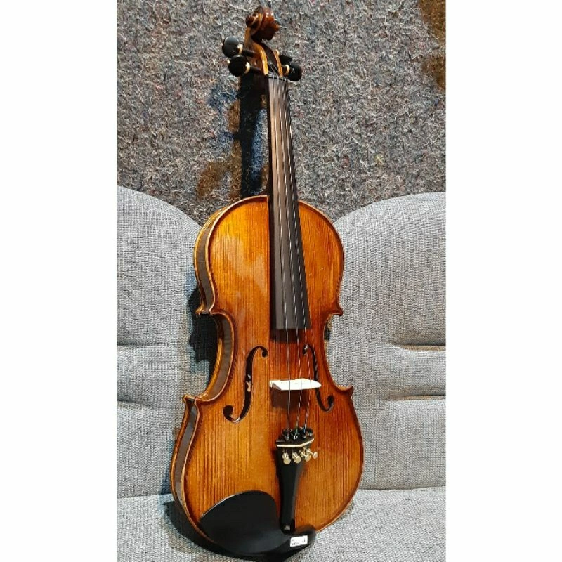 New Arrival Biola Beginner Pemula No Merk 4/4 Spesifikasi Paling Worth It Dikelasnya