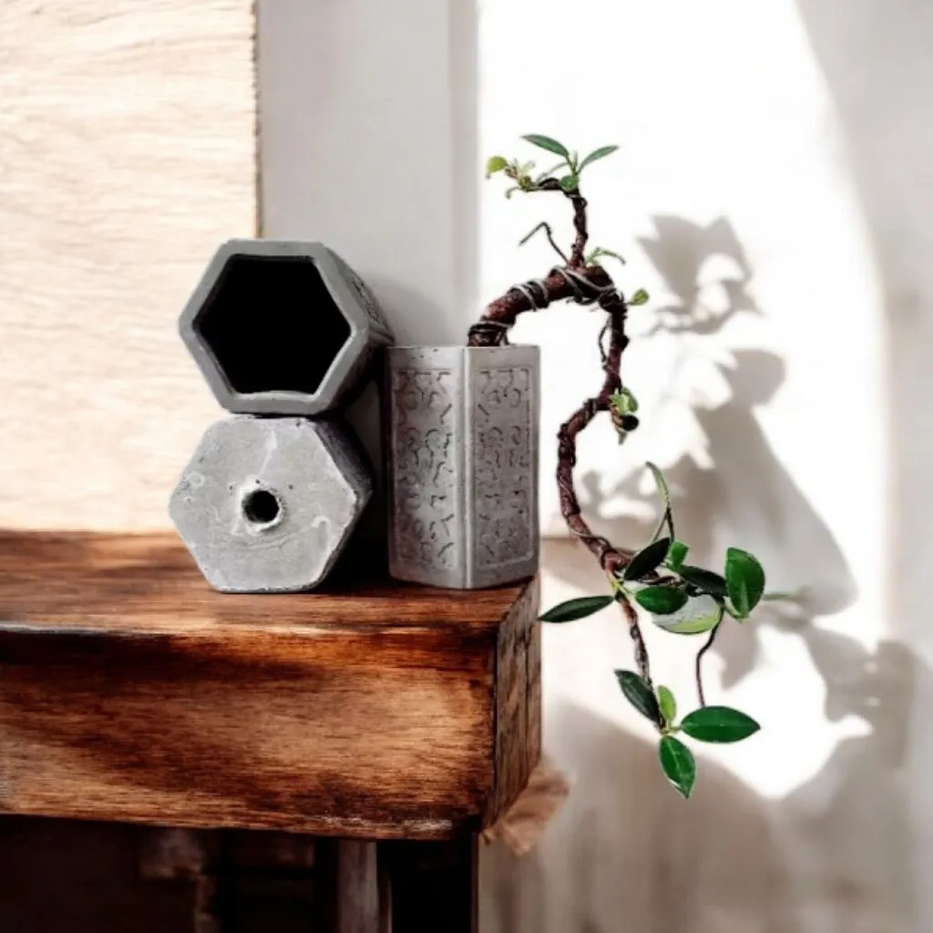 pot semen untuk tanaman hias/bonsai