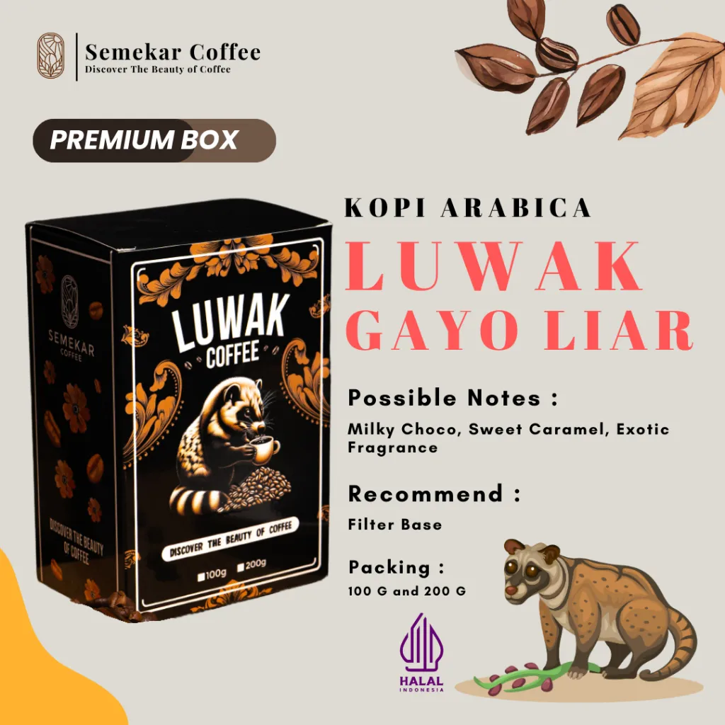 Semekar Coffee - Kopi Luwak Gayo Liar Arabica Specialty - Box Version