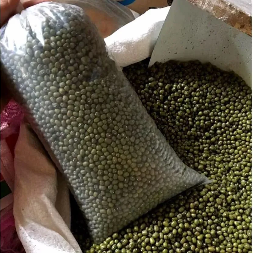 1kg Kacang Hijau Lokal Super/Kacang Hijau Bubur/Kacang Hijau  Kemasan Kiloan