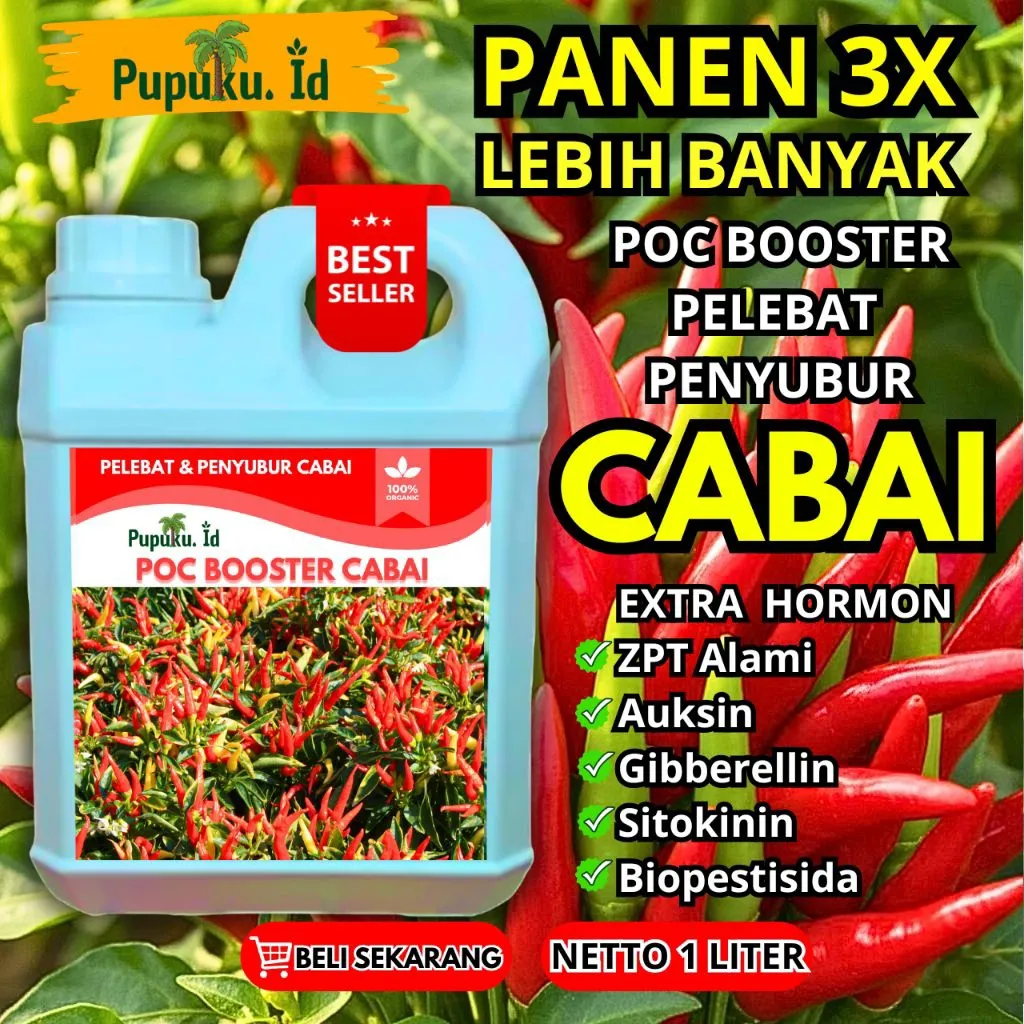 Pupuk booster cabai perangsang bunga dan pelebat buah anti rontok | pupuk pertumbuhan cabai agar cabai lebat | mempercepat pertumbuhan dan pelebatan buah