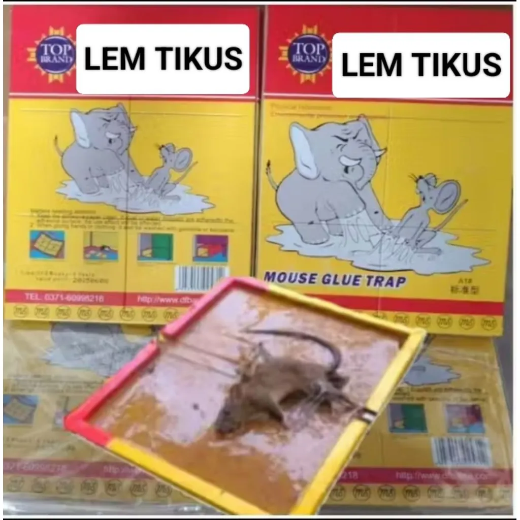 LEM TIKUS PAPAN ORIGINAL