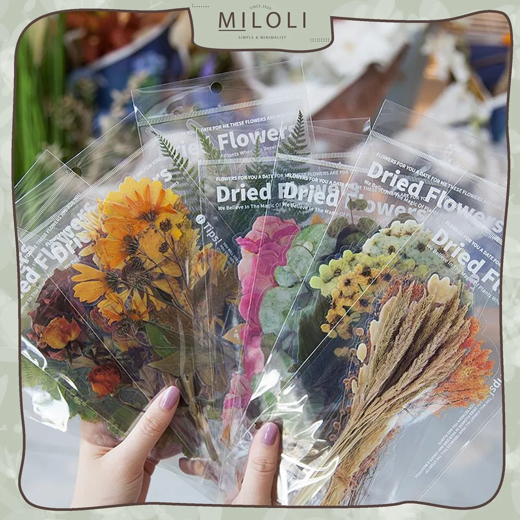 [MILOLI] 6Pcs DRIED FLOWER Deco Aesthetic PET Sticker Planner DIY Scrapbook - B0412