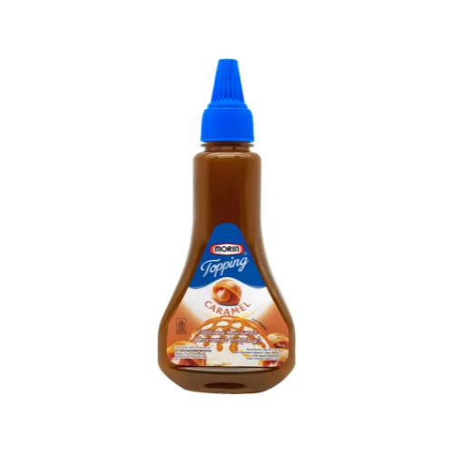 Morin Topping Caramel 300gr