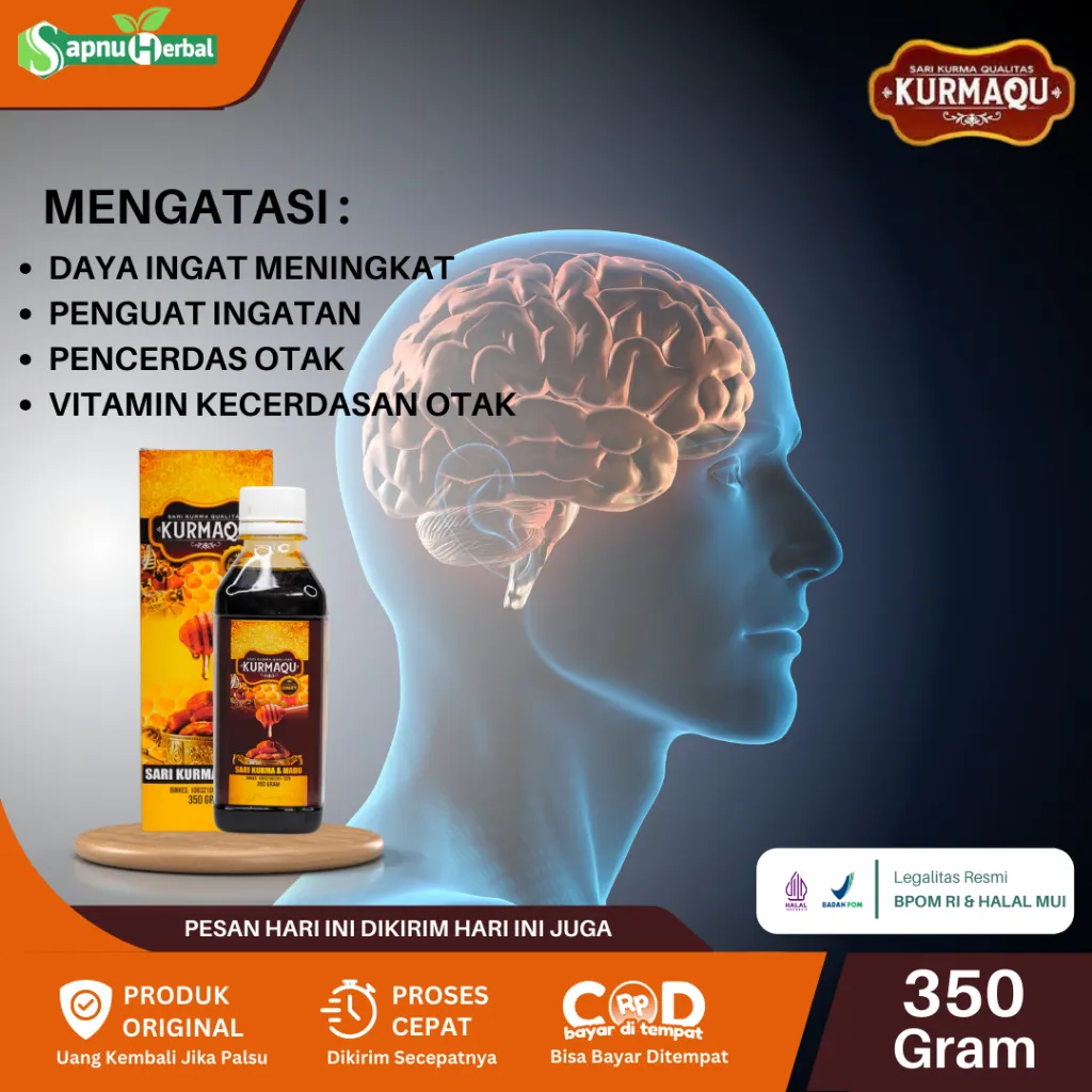 Vitamin Nutrisi Otak Obat Penambah Daya Ingat Menurun Penguat Ingatan Suplemen Anti Otak Lemot Alzheimer Cegah Pikun Amanesia Pencerdas Otak Penambah Daya Ingat Kosentrasi Fokus Vitamin Kecerdasan Otak Anak Dewasa Lansia Herbal Kurmaqu