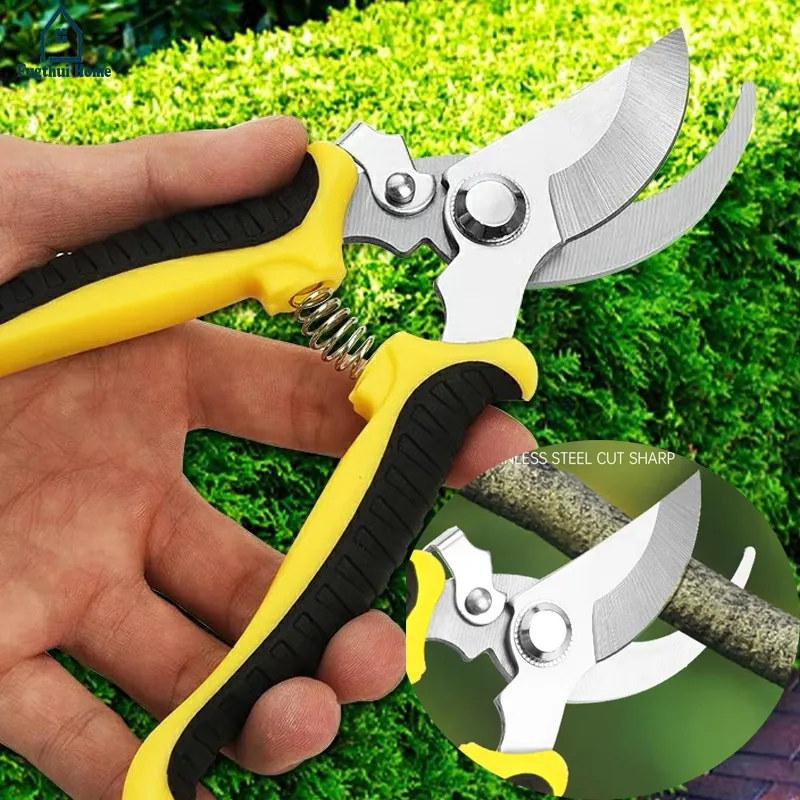 Premium Quality Yellow Gunting Dahan Stek Ranting Tanaman Tajam Fugthui