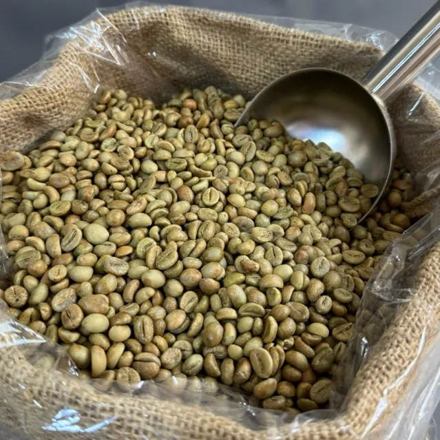 Kopi Greenbean Robusta Grade A Sortiran / Biji Kopi Mentah Robusta 1 kg Untuk Roasting