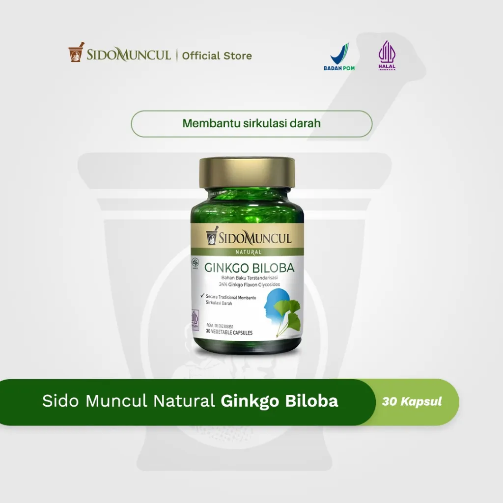 Sido Muncul Natural Herbal Ginkgo Biloba 30 Kapsul - Daya Ingat Konsentrasi