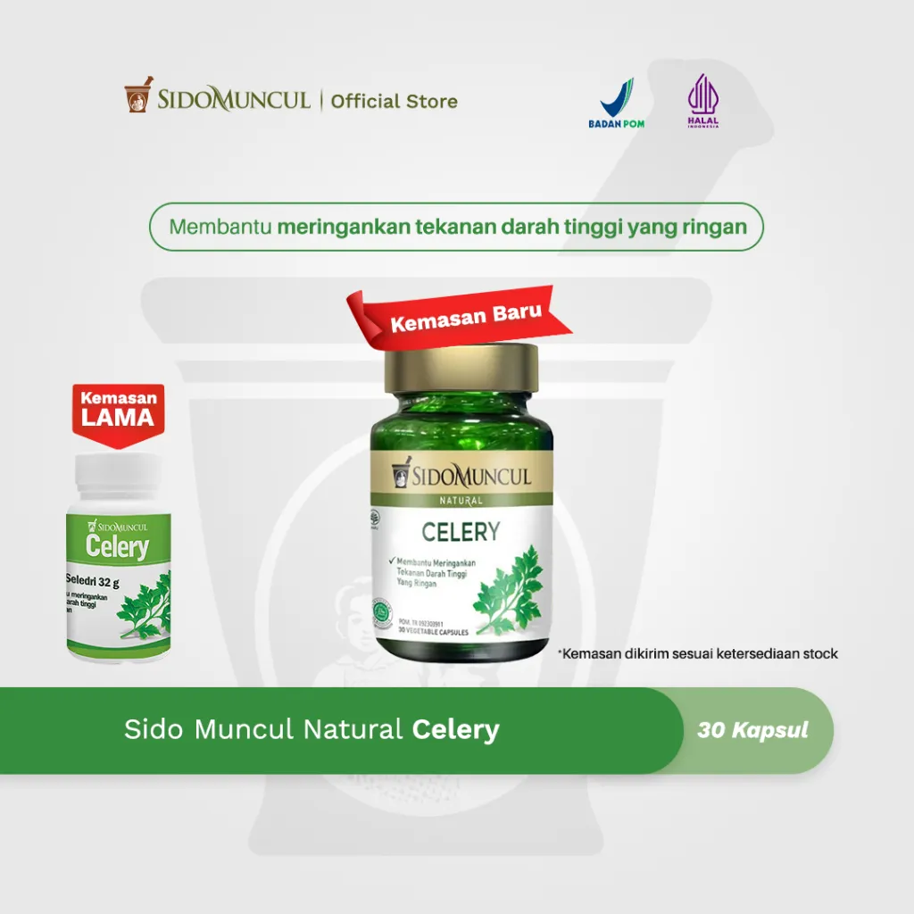 Sido Muncul Natural Herbal Celery 30 Kapsul - Membantu Meringankan Tekanan Darah Tinggi yang Ringan