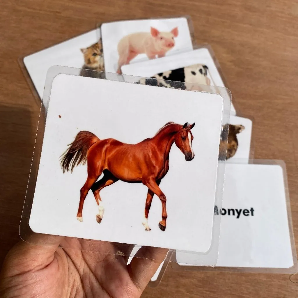 FLASHCARD TERAPI WICARA TK PAUD / KARTU MENGENAL KOSA KATA / FLASHCARD HEWAN BUAH KATA KERJa