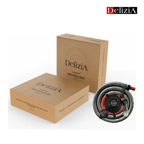 Delizia High-Security Gas Regulator with SuperLock Safety System