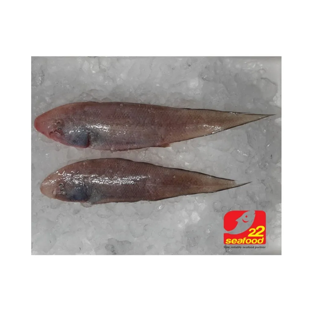 Ikan Lidah / Seafood 22