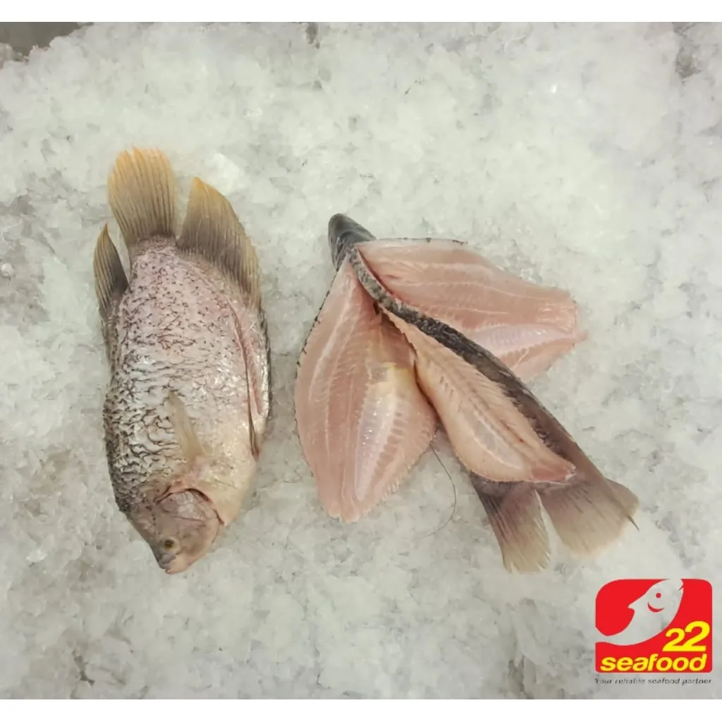 Gurame Fillet Kipas 600-700gr / Seafood 22