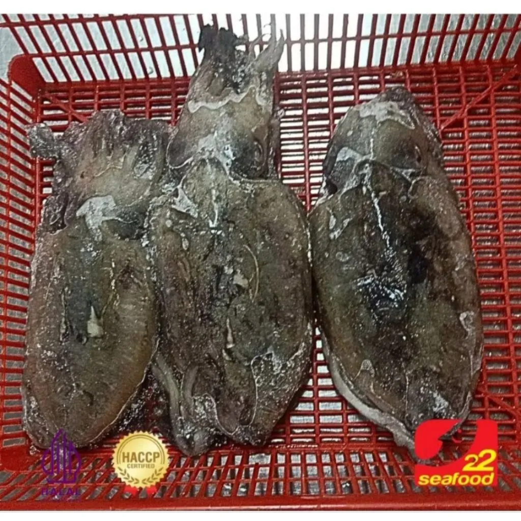 Blakutak Sotong Jumbo 1 Pcs / 22 Seafood