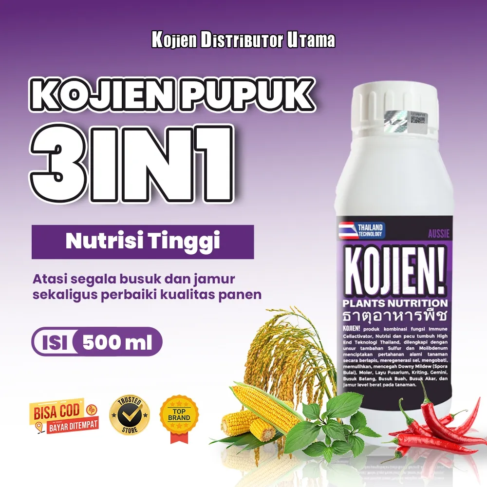 Kojien Obat Bulai, Layu Fusarium, Gemini Efektif Pada Jagung Padi Cabe | Pupuk Nutrisi Thailand Tech