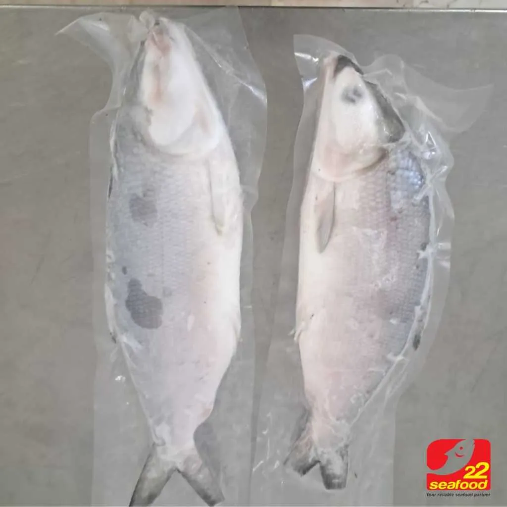 Bandeng Utuh per Ekor 600-1000gr / Seafood22