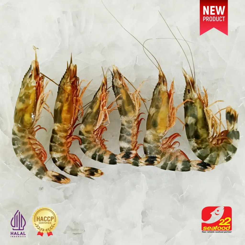 Udang harimau/Merah Besar, kecil frozen 500 gr/seafood22