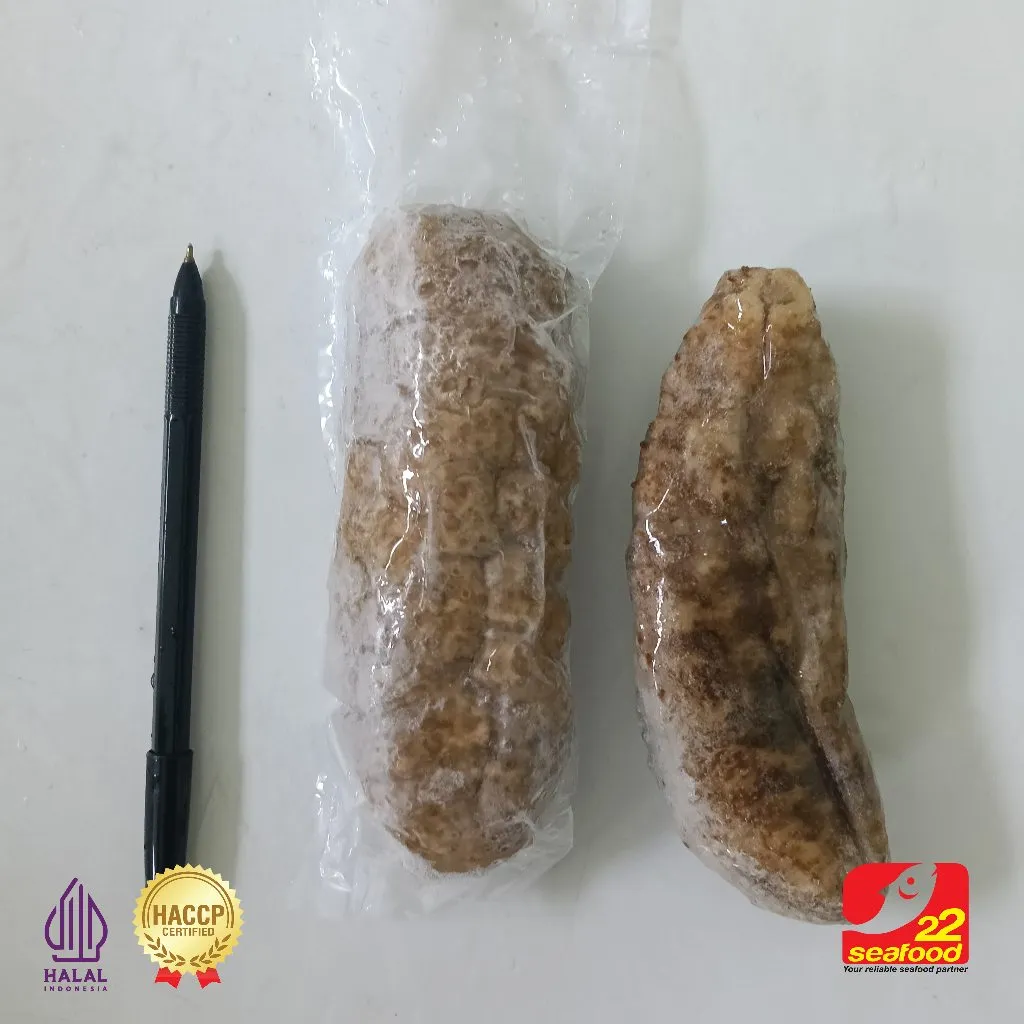 Gamat Teripang kuning / Hitam/ besar 150gr, 250gr, dan 500gr/ kecil 100gr, 250gr, dan 500gr / 22 seafood