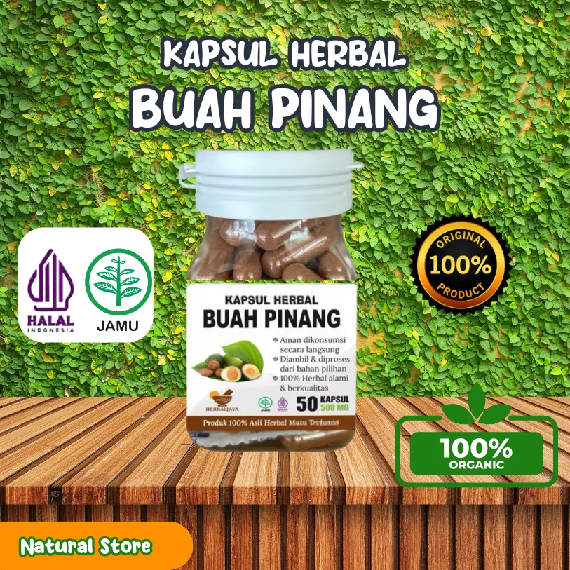 Pinang Muda 100% Murni 50 Butir 500mg – Vitalitas, Kesehatan Organ, Energi & Daya Tahan Tubuh