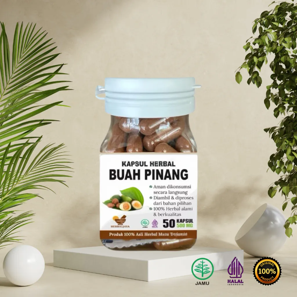 Herbal [ORIGINAL] Buah Pinang Muda 500mg – Vitalitas, Kesehatan Organ, Energi & Daya Tahan Tubuh 50 butir