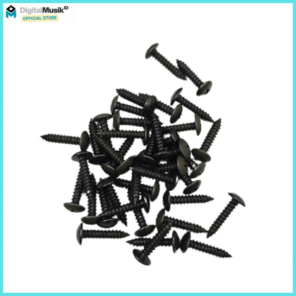 Baut Runcing  Speaker 2 cm Full Drat Kepala Plus + Hitam Anti Karat Kuat Dan Awet Harga 1 PcsI DM