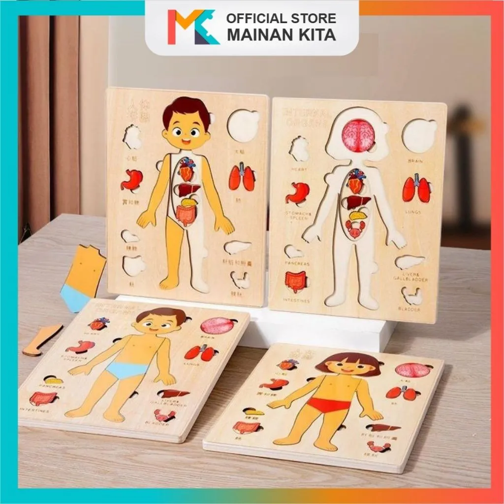 MK139 Puzzle Edukasi Organ Tubuh Anatomy Manusia Keterampilan Motorik Halus Anak