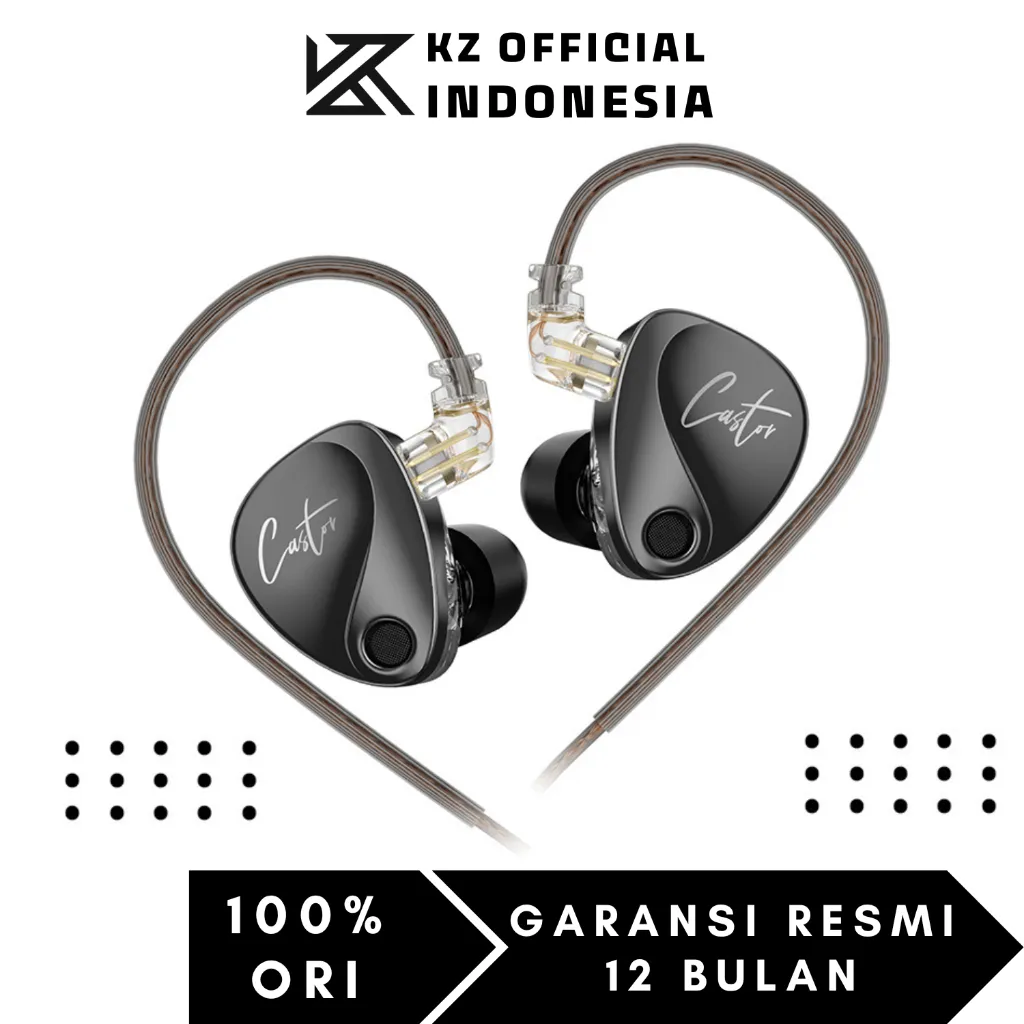 KZ CASTOR Dual Dynamic Driver Metal In Ear Earphone with MIC