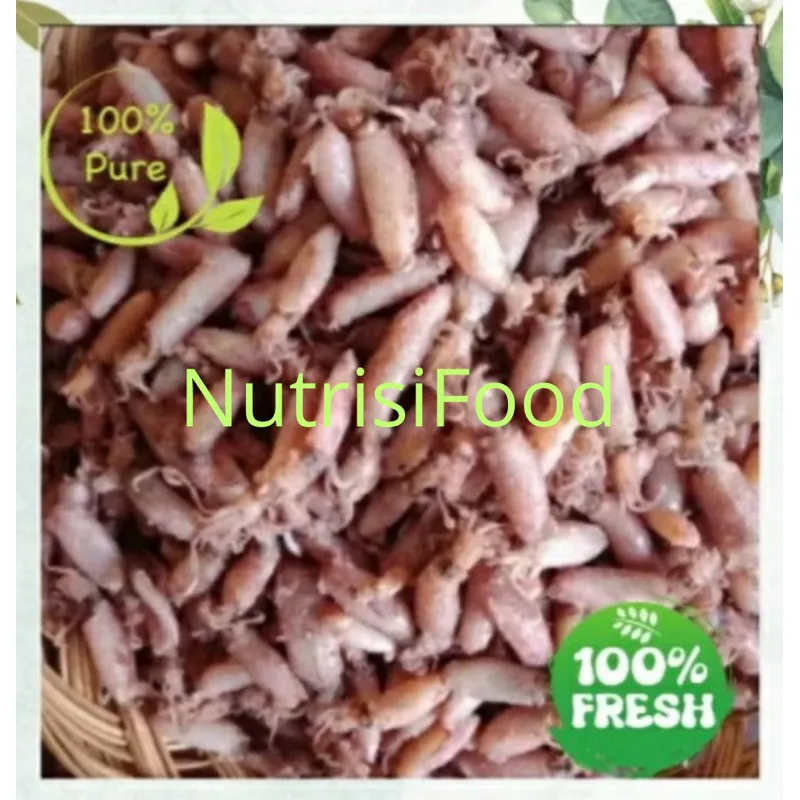 1.KG BABY CUMI Mini~CUMI Asin Kesat Bersih Terlezat Termurah