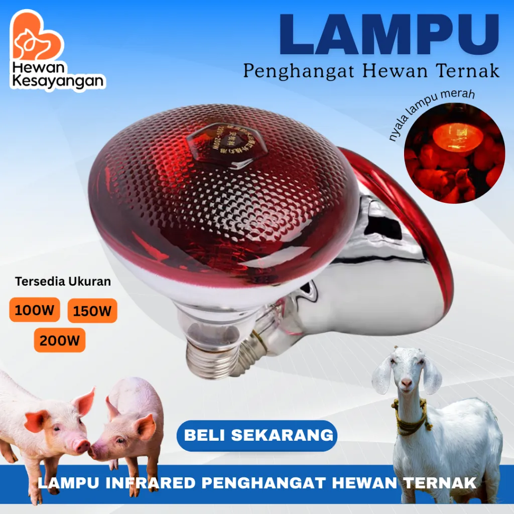 Penghangat Anak Ayam Lampu Inframerah Kambing Babi Sapi 100W 150W dan 200W