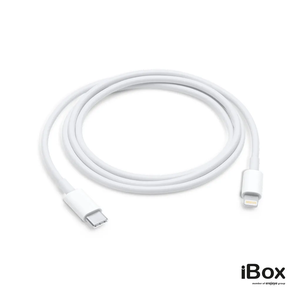 Apple USB C to Lightning Cable (1 m)