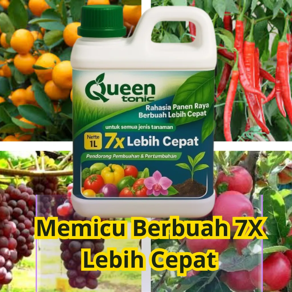 Pupuk Buah Agar Cepat Berbuah Queen Tonic 1000ML  Memicu 7X Lebih Cepat Pembuahan
