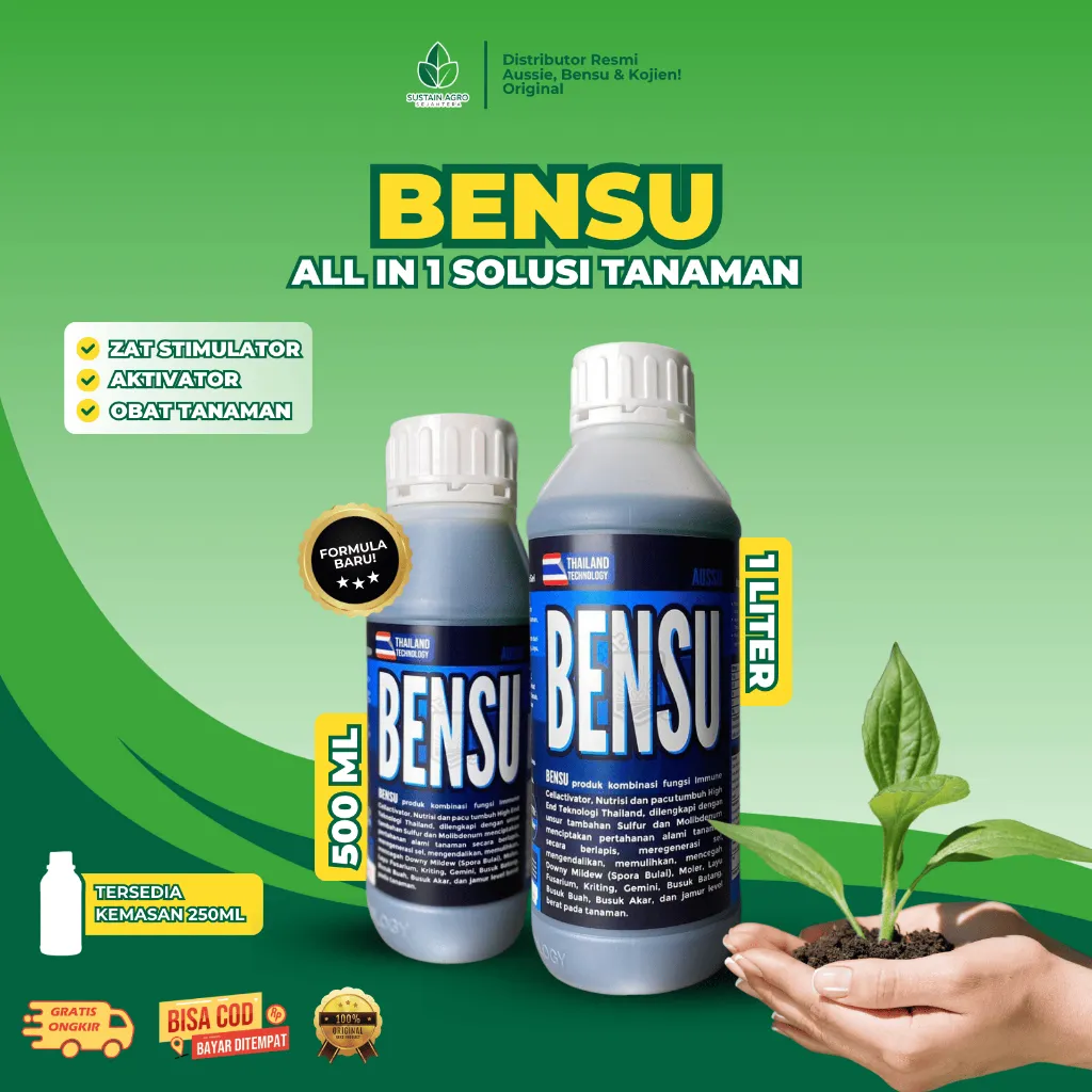 BENSU | Nutrisi Obat Bulai, Gemini, Layu, Fusarium, Moler, Bercak Daun, & Daun Kuning | Sustain Agro