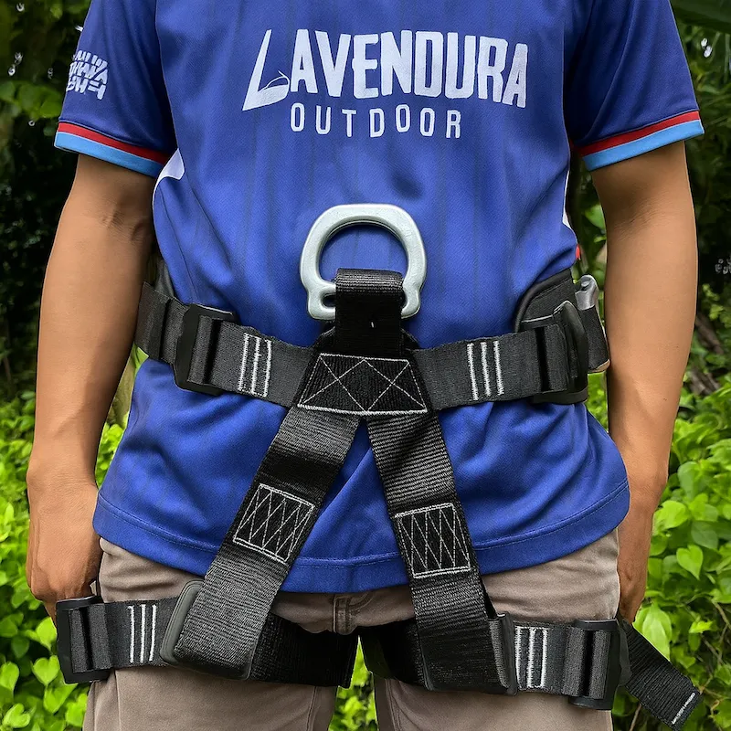 LAVENDURA Seat harness half body 5 point harness caving climbing rescue survival webing safety belt climbing harness Rock Climbing Harness Camping Half Safety Belt Rock Climbing Outdoor Expand Training carabiner